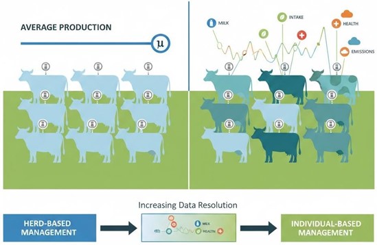 Illustrating the transition from group- based management to individual-level decision-making in ruminant production systems..jpg